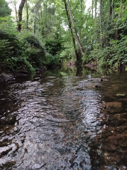 Bideford Brook - KL from Bristol